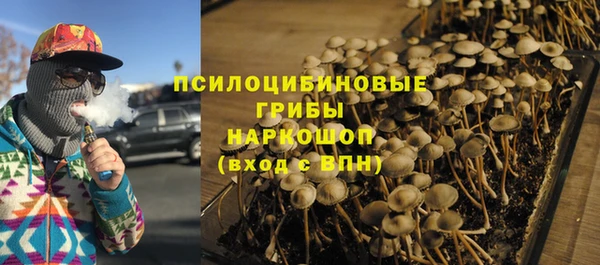 spice Абдулино