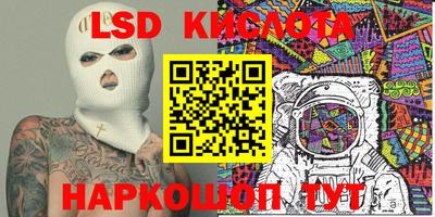 прущие грибы Гудермес