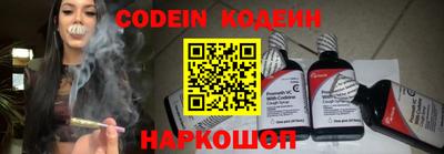 прущие грибы Гудермес