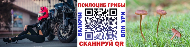 Псилоцибиновые грибы MAGIC MUSHROOMS  Кинешма 