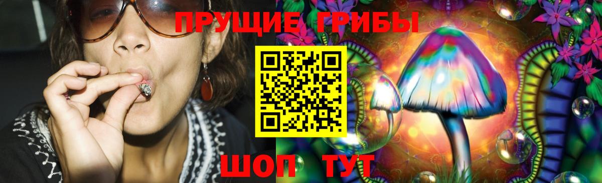 Кинешма  Галлюциногенные грибы Psilocybe  Галлюциногенные грибы Magic Shrooms  Вход с VPN 